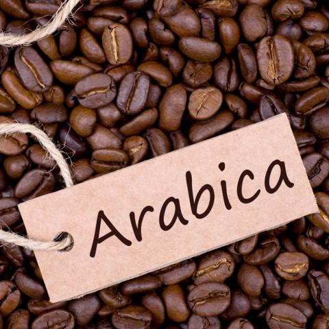 Cà phê số 9 (Arabica)